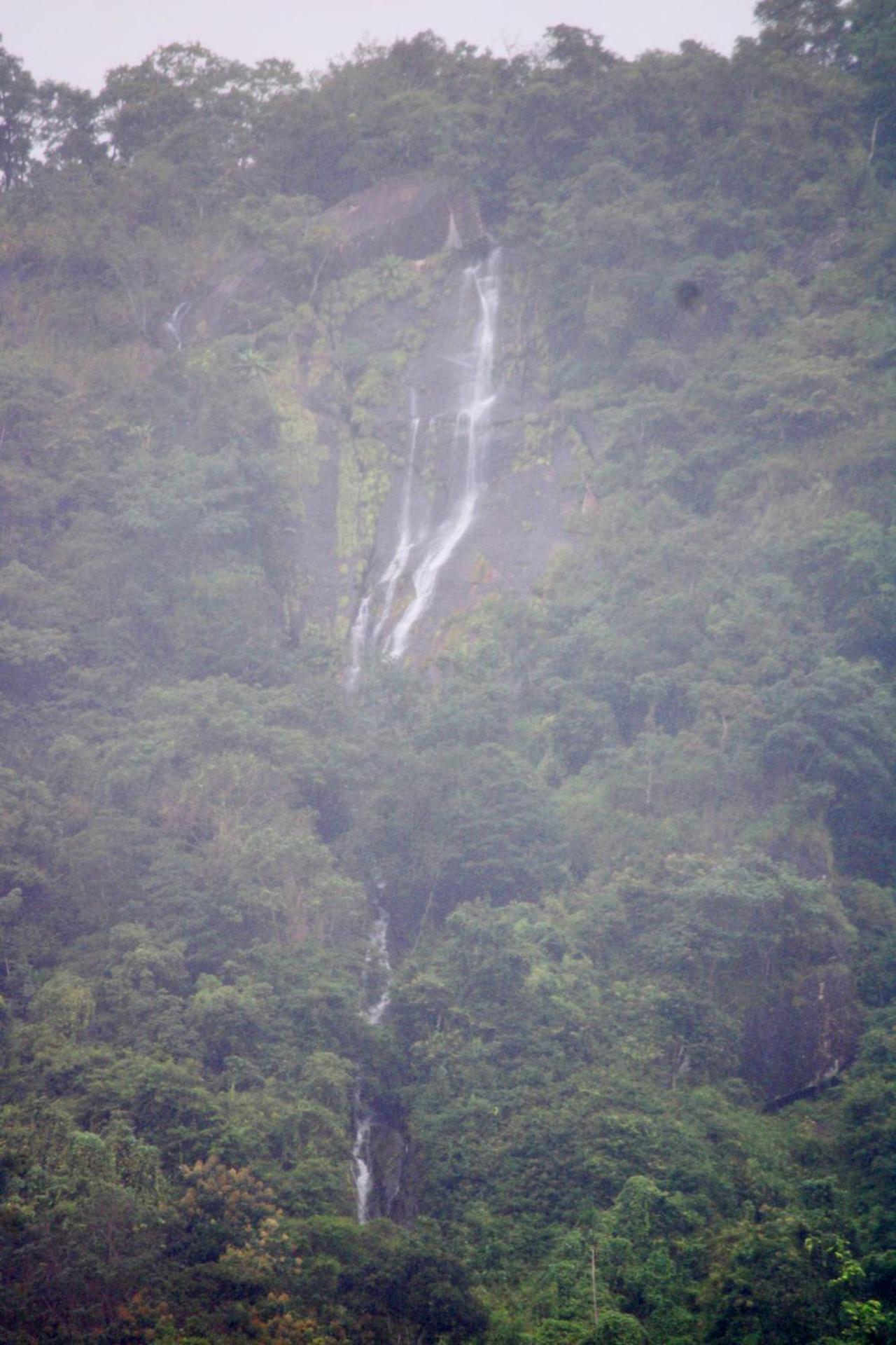 Mist Farm House Kudayattur 外观 照片